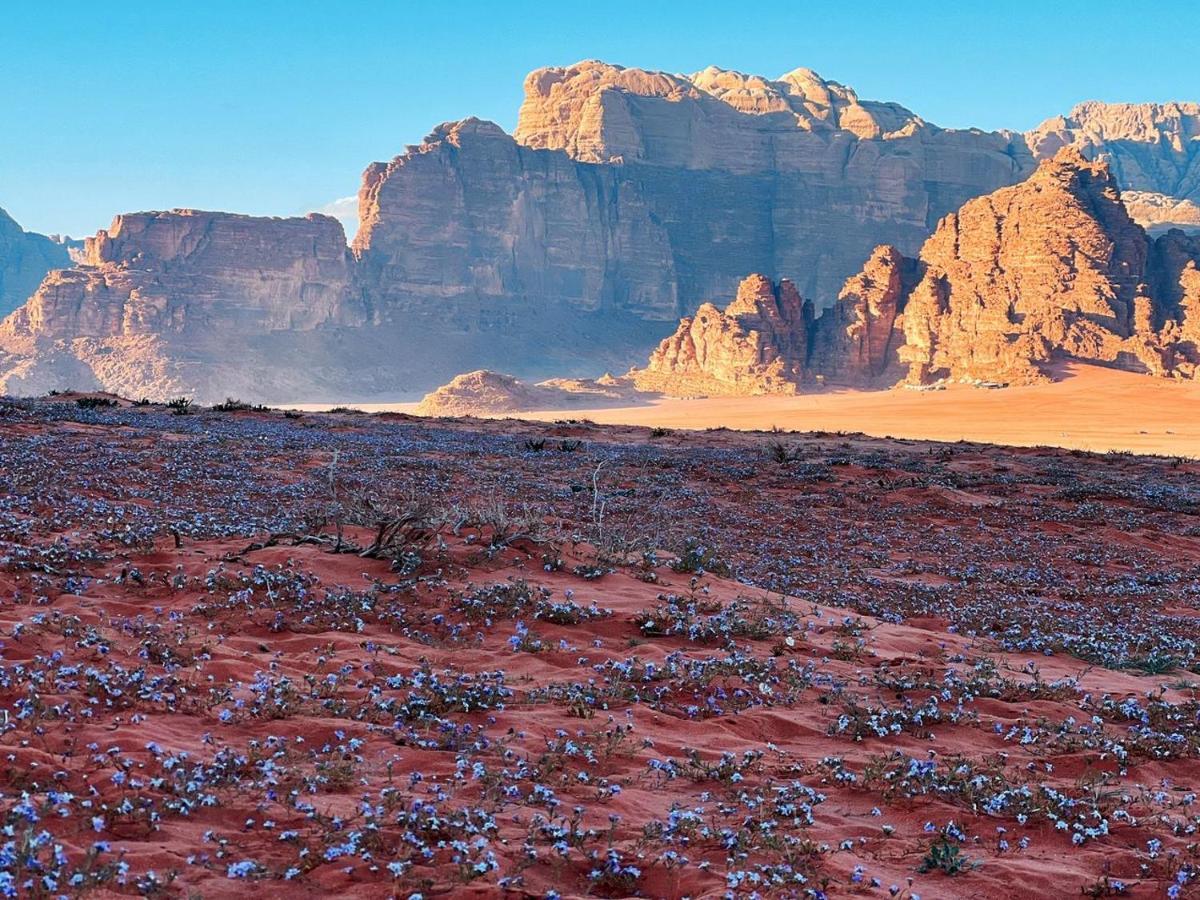Wadi Rum Camp Exteriér fotografie