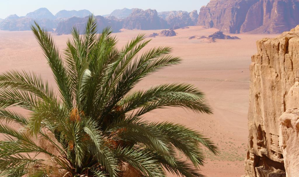 Wadi Rum Camp Exteriér fotografie